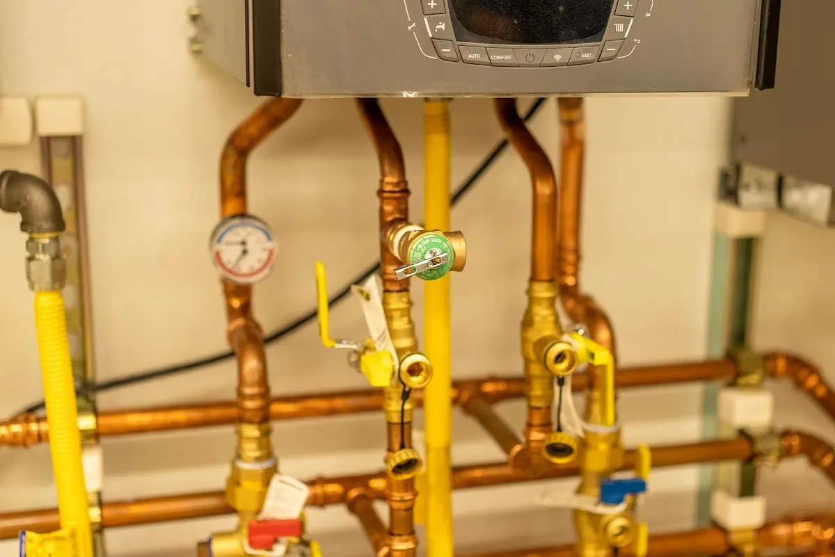 Licensed technician providing Emergency Plumbing for a homeowner in Hoschton